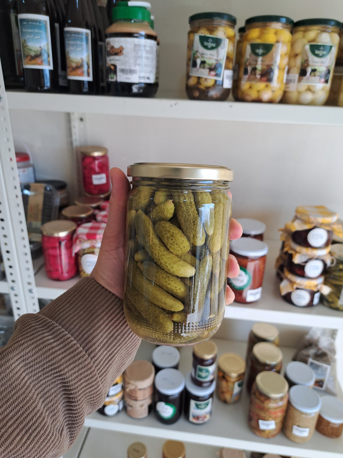 Gherkins (Cornichons)